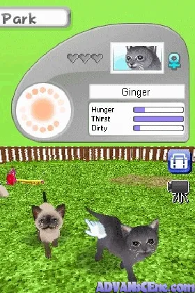 Petz - Catz Clan (USA) (En,Fr,De,Es,It,Nl,Sv,No,Da) screen shot game playing